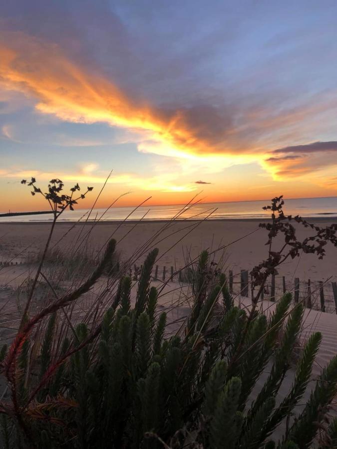 Residence Le Sunset Marseillan-Plage, Entre Mer Et Lagune De Thau, Etape Velo, Famille, Couple, Vrp, Toutou Admis, Jardin, Parking Prive Gratuit, Velos, Clim, Wifi Fibre Gratuite, Commodites, Plage Et Piste Cyclable A Proximite, 6 Couchages Nous Cont Εξωτερικό φωτογραφία